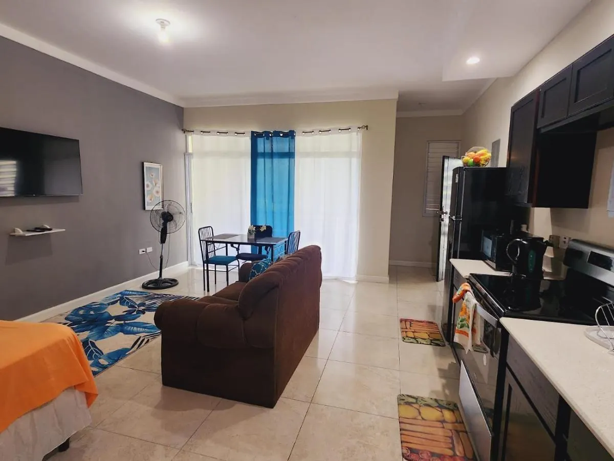 Apartment Cozy One Bedroom At Perkins Kingston